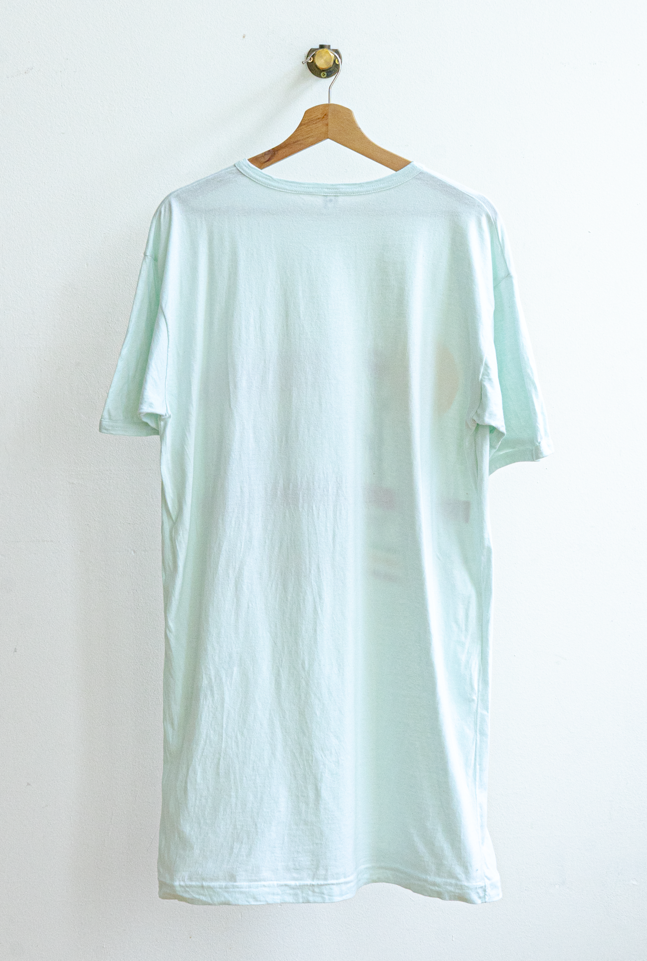 vintage zebra night t-shirt mint green